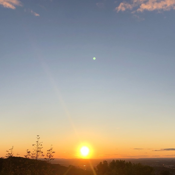 Meet your Posher, Alice - Picture 1 of 1